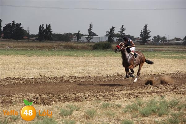 khoyoul lud 0610 (19).JPG